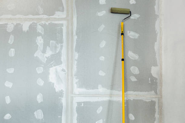 Reliable Ontario, OH Mold Removal Solutions