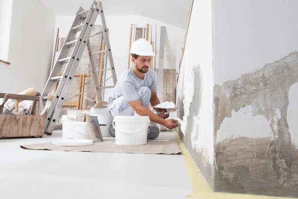 Best Black Mold Removal  in Ontario, OH
